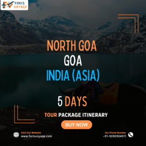 North Goa - Goa, India | 5 Days (Asia)