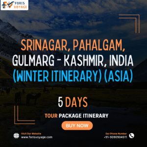 Srinagar, Pahalgam, Gulmarg - Kashmir, India (Winter Itinerary) | 5 days (Asia)